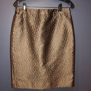 J. Crew Skirt